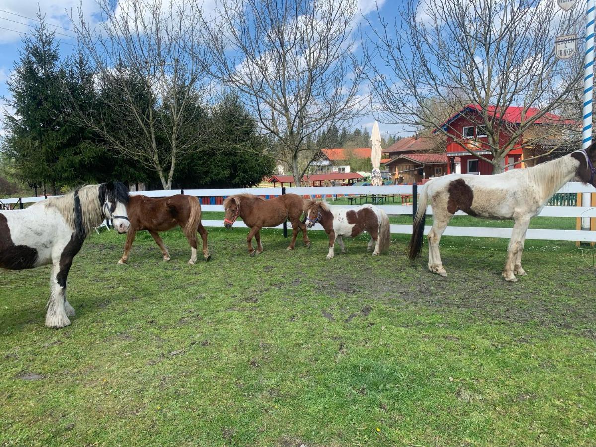 Ferienwohnung Am Ponyhof Altötting Esterno foto
