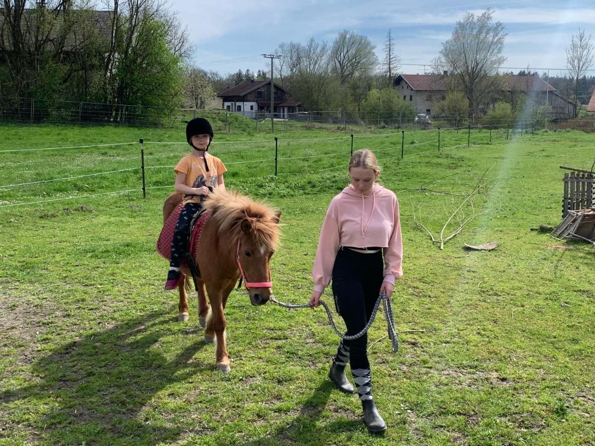 Ferienwohnung Am Ponyhof Altötting Esterno foto